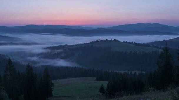 Morning in the Carpathian mountains. Dynamic fog in the middle of the mountains — Stock Video