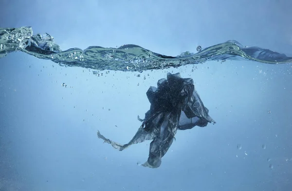 a Pollution problem - plastic bag in the ocean