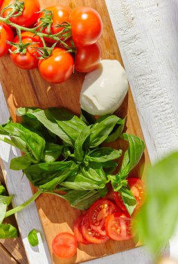 buffalo Mozzarella peyniri rustik doku arka plan üzerinde yeşil domates fesleğen yaprakları ile
