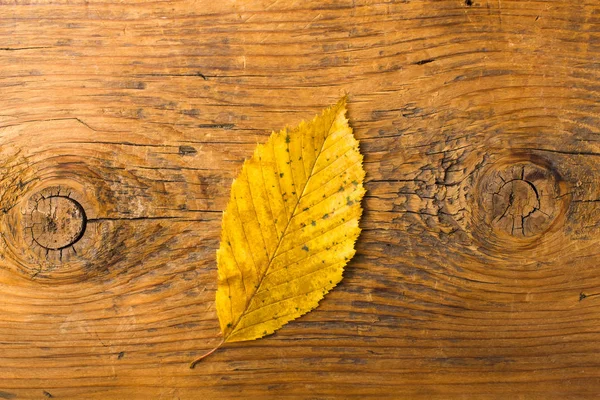 Feuille Automne Sur Fond Bois Noir — Photo