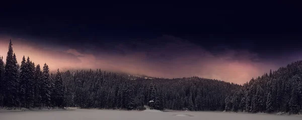 Alberi Novellini Sulle Montagne Invernali — Foto Stock
