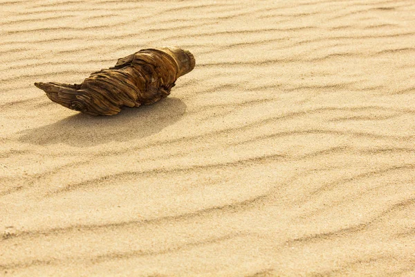 Старый Деревянный Топ Песке — стоковое фото