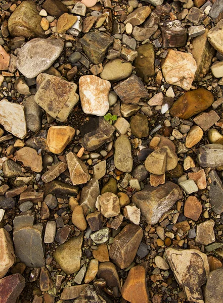 River Stone Background Close — Stock Photo, Image