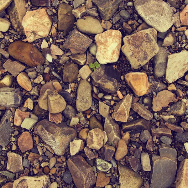 Fluss Stein Hintergrund Nahaufnahme — Stockfoto