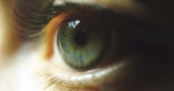 Close Bela Abertura Olho Mulher Íris Macro Beleza Natural Movimento — Vídeo de Stock