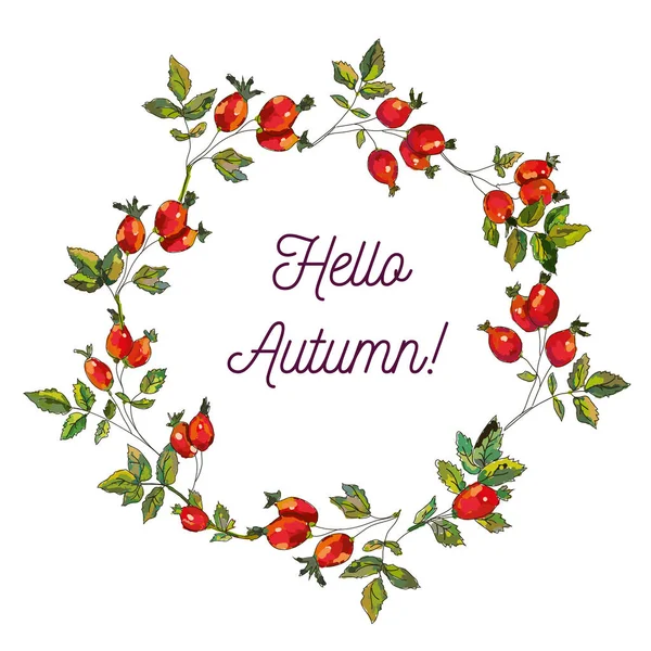 Hello Autumn Card Hips Frame Sketchy Design Vector Graphic Illustration — Stock Vector