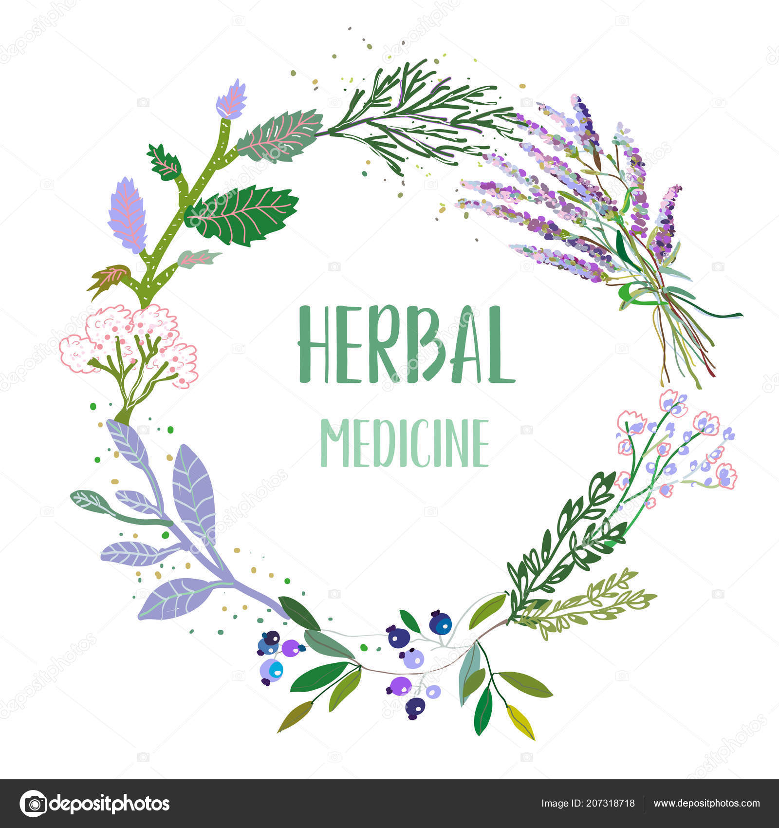 Download Herbal Medicine Card Label Frame Flowers Plants Herbs ...