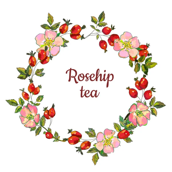 用于茶叶标签或卡片的玫瑰果框 矢量图形插图 — 图库矢量图片
