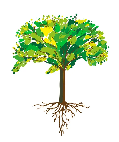 Baum Und Wurzelmalerei Vektorgrafische Illustration — Stockvektor