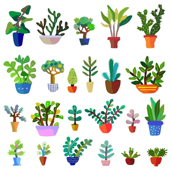 Cactus Incastonati Con Molti Fiori Illustrazione Grafica Vettoriale — Vettoriale Stock