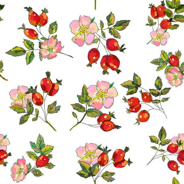 Rosehip berries and flowers seamless pattern. Vector graphic illustration