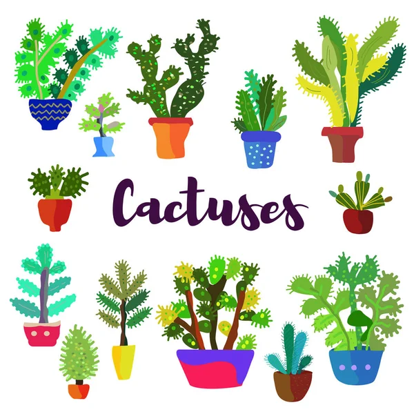 Tarjeta Cactus Con Muchas Plantas Ilustración Gráfica Vectorial — Archivo Imágenes Vectoriales