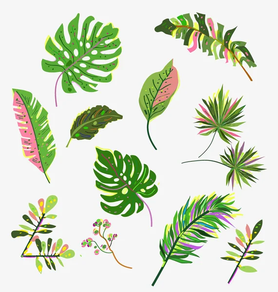 Tropical Leaves Set Bright Hand Drawn Design Vector Graphic Illustration — Stock Vector