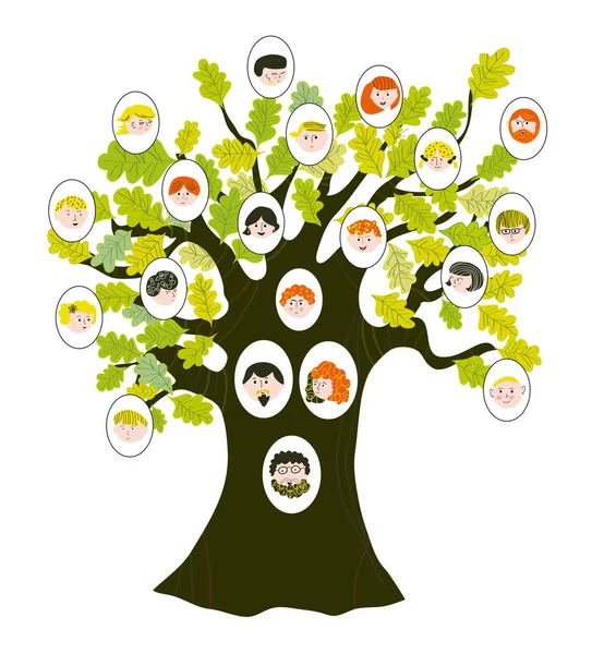 Family Tree Relatives Portraits Generations Vector Graphic Illlustration Cute Style — Stock Vector