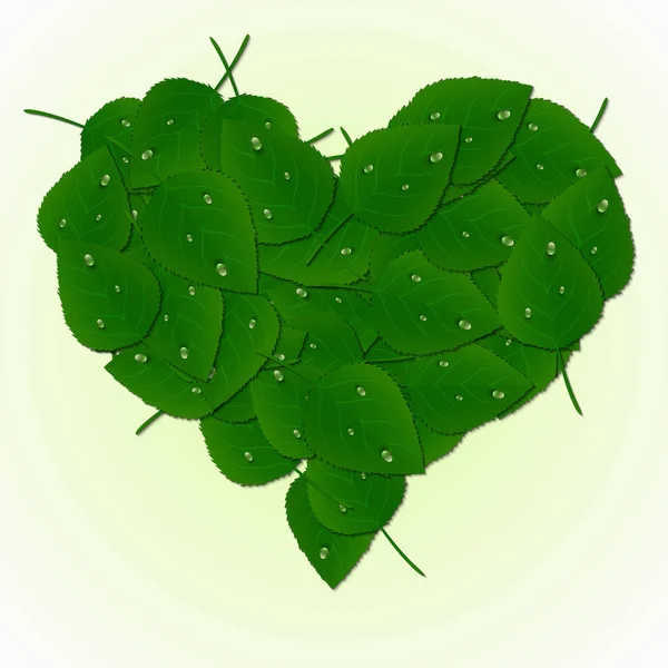 Heart made of green leaves and dew drops. — Stock Vector