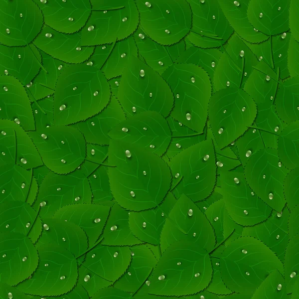 Seamless pattern background with green leaves and dew drops. — Stock Vector