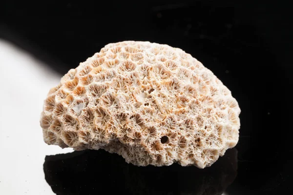 Stüdyo arka plan üzerinde taş parçası