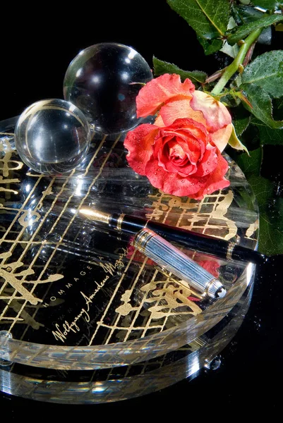 Blume und Stift auf einem Glas — Stockfoto