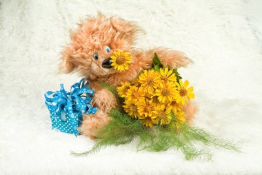 Oyuncak ile Natürmort