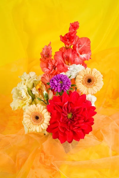Çiçekli Composityion — Stok fotoğraf