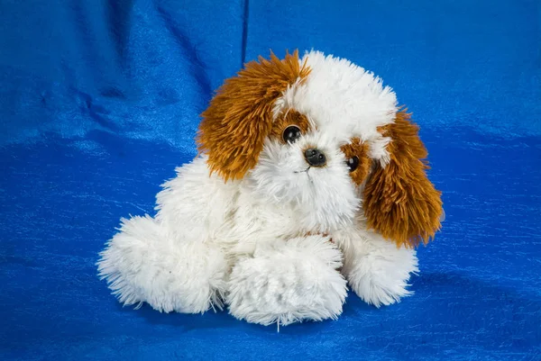 Cão de brinquedo — Fotografia de Stock