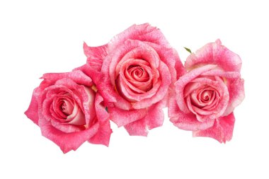 Çiçekli Composityion