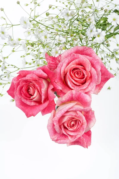 花とのコンポジスティフィオン — ストック写真