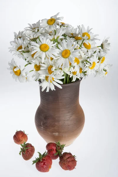 Compositione con fiori — Foto Stock