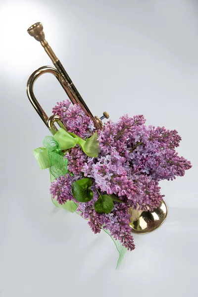 Bodegón con flores — Foto de Stock