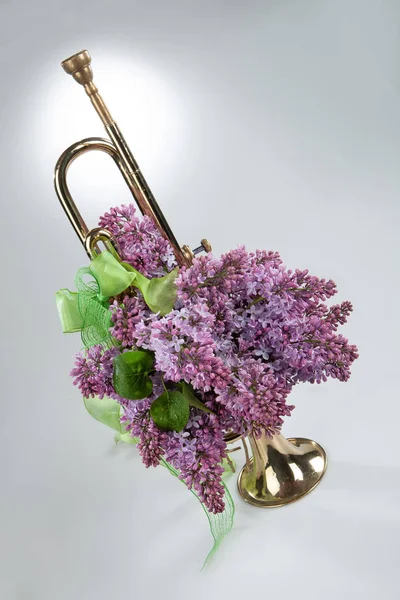Csendélet virágokkal — Stock Fotó