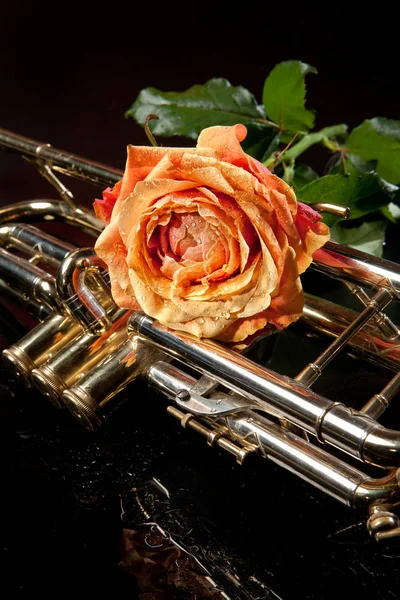 Роза и труба — стоковое фото