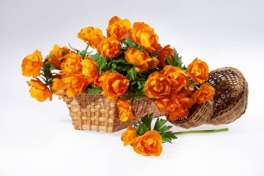 Çiçeklerle dolu hayat