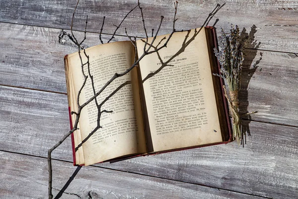 Kitap ve sonbahar yaprakları — Stok fotoğraf