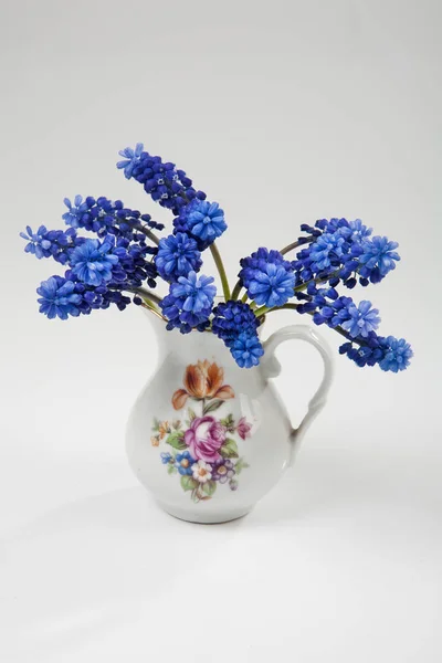 Fiori blu in un vaso — Foto Stock