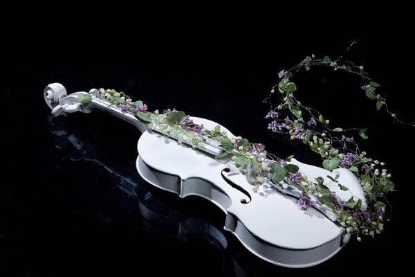Violino e fiori — Foto Stock