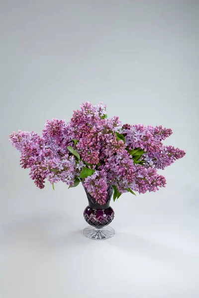 Still Life With Flowers — Stock Photo, Image