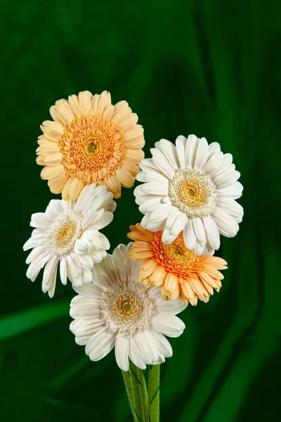 Natura morta con fiori — Foto Stock