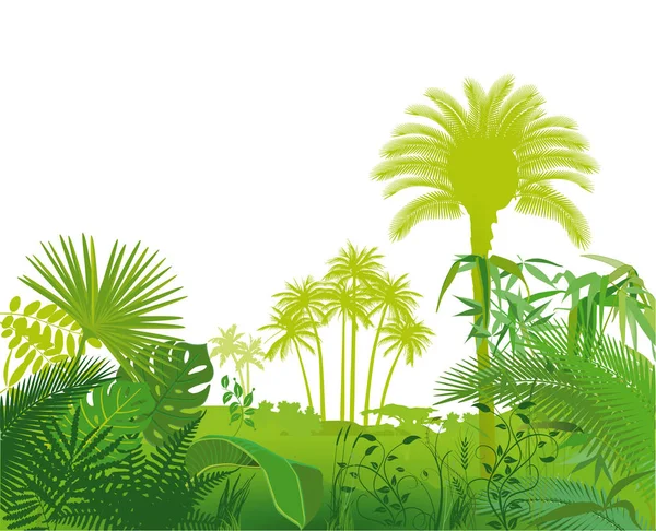 Ilustración Plantas Tropicales Exóticas — Vector de stock