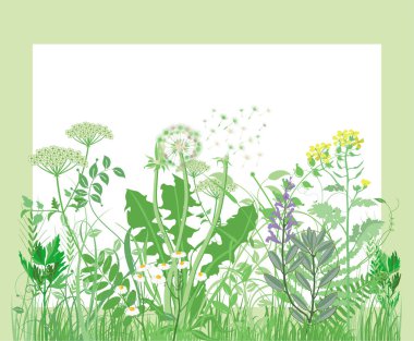 Çayır ve otlar. Taze arka plan - illüstrasyon