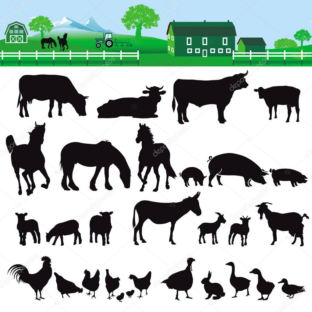 Farm animal collection isolated on white - illustration