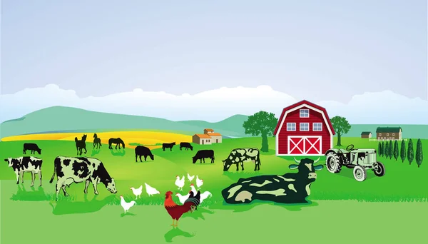 有家牛 牛和家禽的农场 — 图库矢量图片