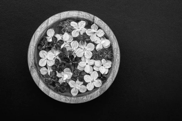 Preto e branco foto multa arte de flores lilás flutuantes em um bo — Fotografia de Stock