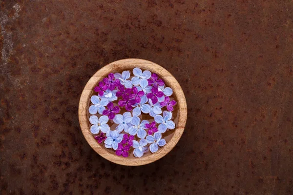 Flutuante flores lilás em uma tigela de água em um fundo enferrujado — Fotografia de Stock