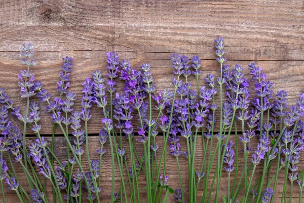 Lavendel Blommor Trã Bakgrund Blommig Bård Eller Ram Med Lavendel — Stockfoto