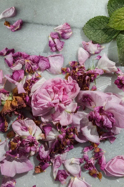 Rosas Secas Sobre Fondo Mármol Plano Concepto Mínimo —  Fotos de Stock