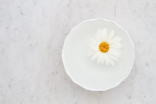 Papatya çiçeği mermer masada bir kase suda yüzüyor.