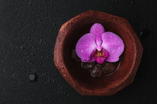 Różowa Orchidea Phalaenopsis Kwiat Misce Wody Kryształów Czarnym Tle Widok — Zdjęcie stockowe
