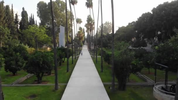 Caminhada Palmeira Jardim Hameyasdim Hadera Israel — Vídeo de Stock