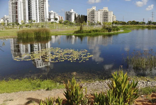 Künstlicher Teich Mit Zierfischen Und Wasserblumen Ecko Park Hadera Israel — Stockfoto