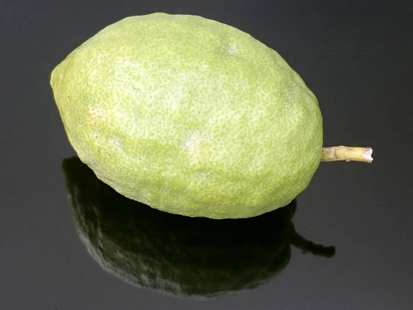 Etrog Est Des Principaux Symboles Fête Souccot Est Nom Juif — Photo